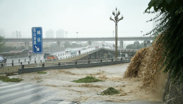 四川綿陽(yáng)遭暴雨襲擊 城區(qū)積水樹(shù)木倒伏(圖)